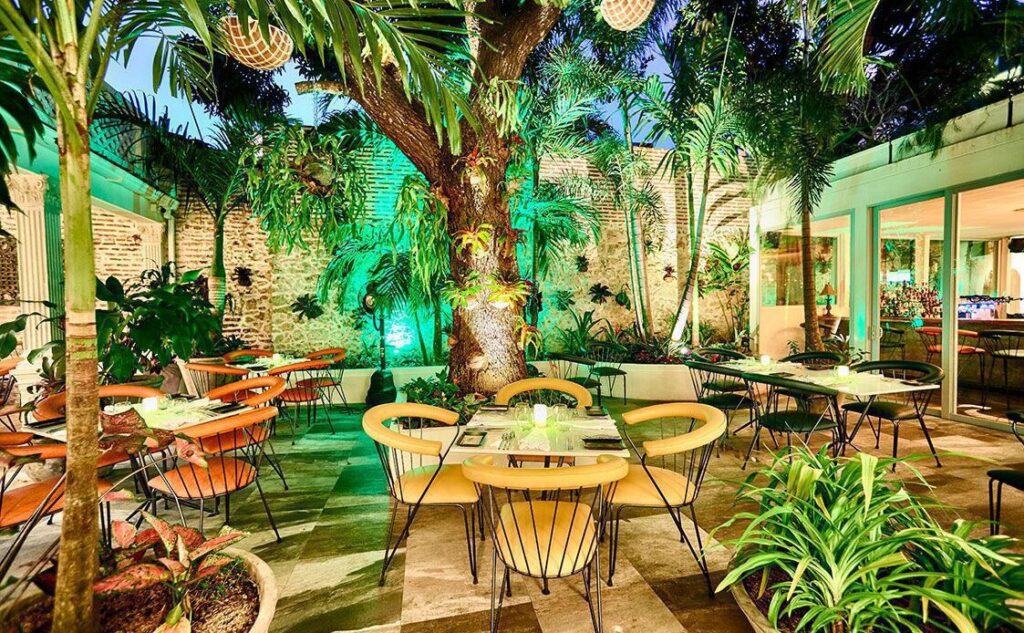 Alex-Quessep-Palo-e-Mango2-1123x694